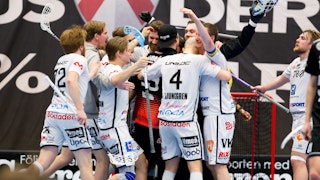 Dalenspelarna firar segern i kvartsfinal 5:7 mot Linköping i våras.
